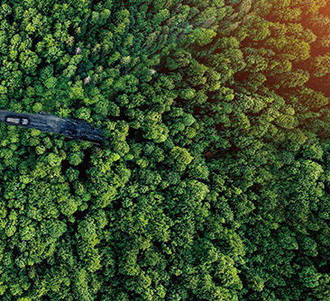 O conceito de neutralidade de carbono