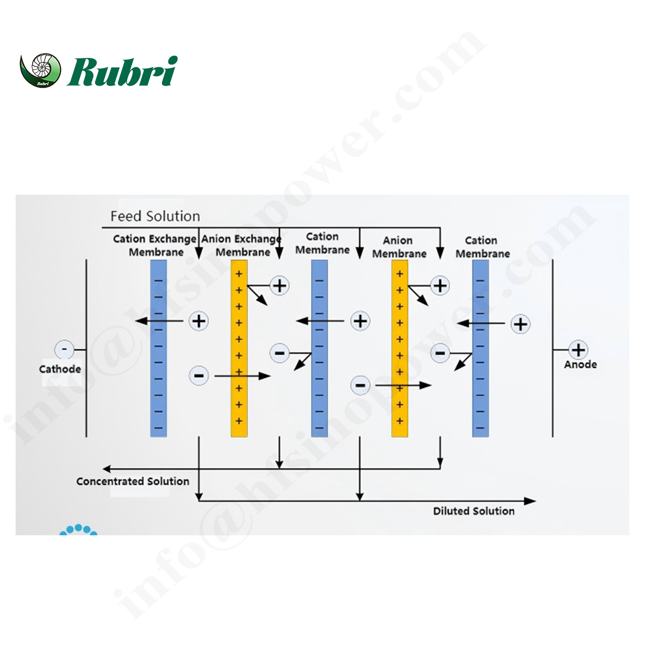 Homogeneous Membrane Electrodialysis Schematic Diagram 1
