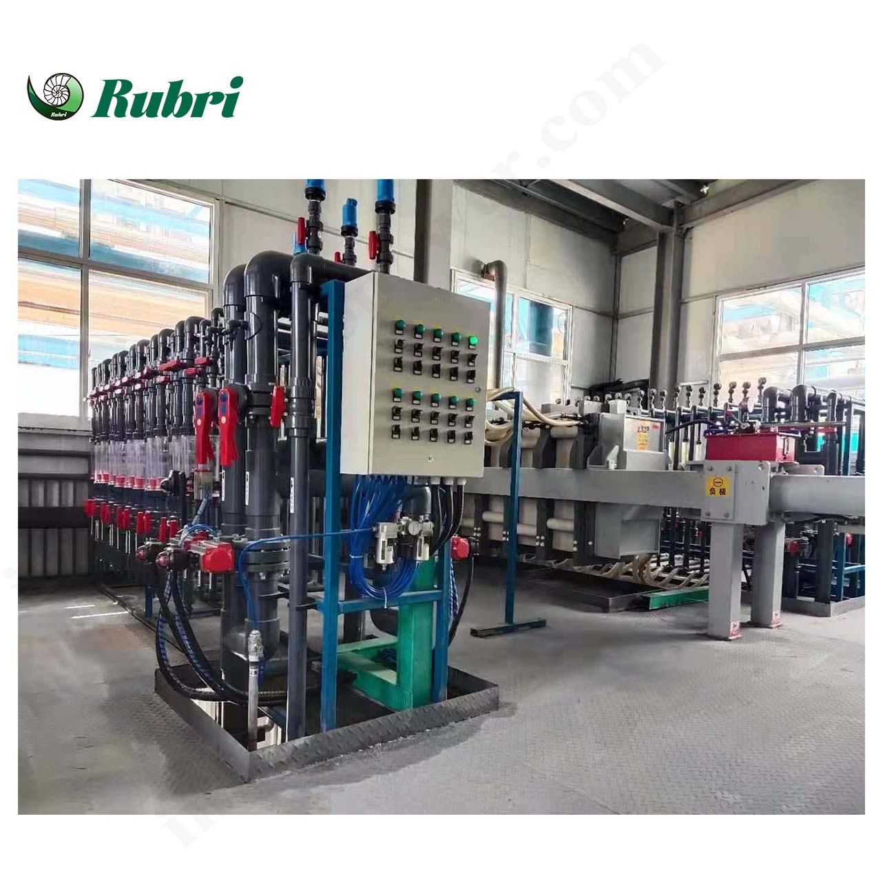 Homogeneous Membrane Electrodialysis